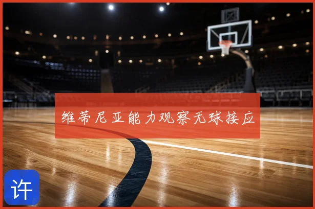 维蒂尼亚能力观察无球接应